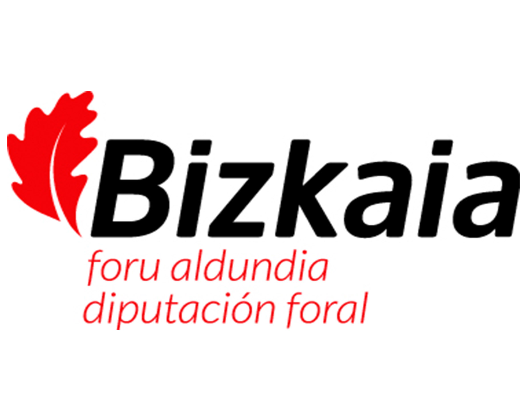 Diputación Foral de Bizkaia