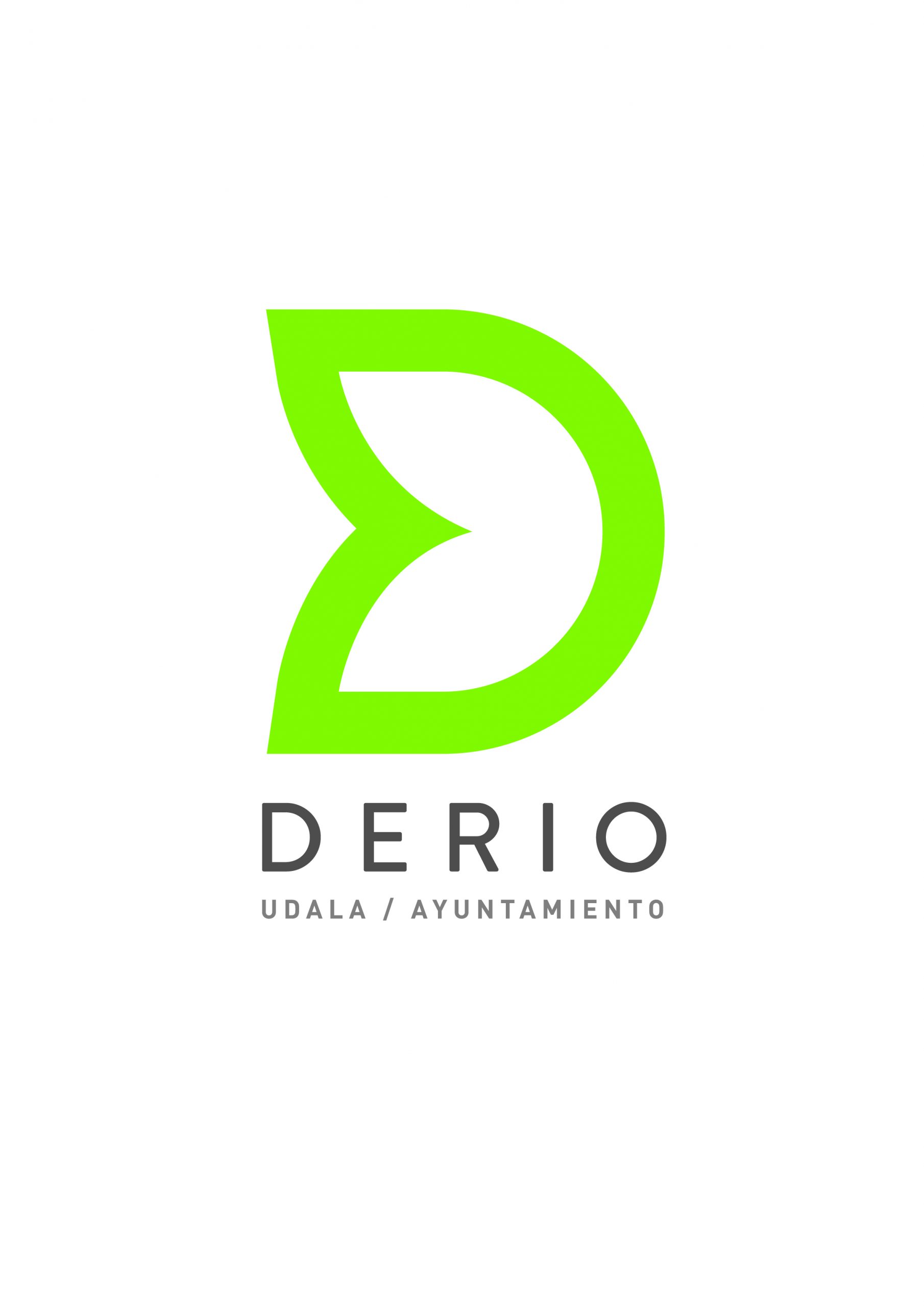 Ayuntamiento de Derio